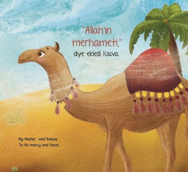 KURAN-I KERİM'DEN HİKAYELER SETİ - KUTU