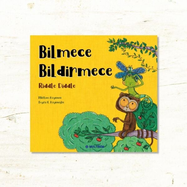 BİLMECE BİLDİRMECE